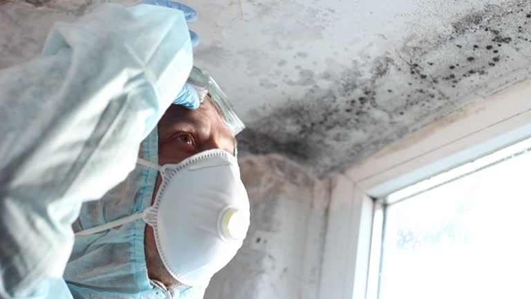 Why You Should Choose Our Mold Remediation Services in Thonotosassa, FL